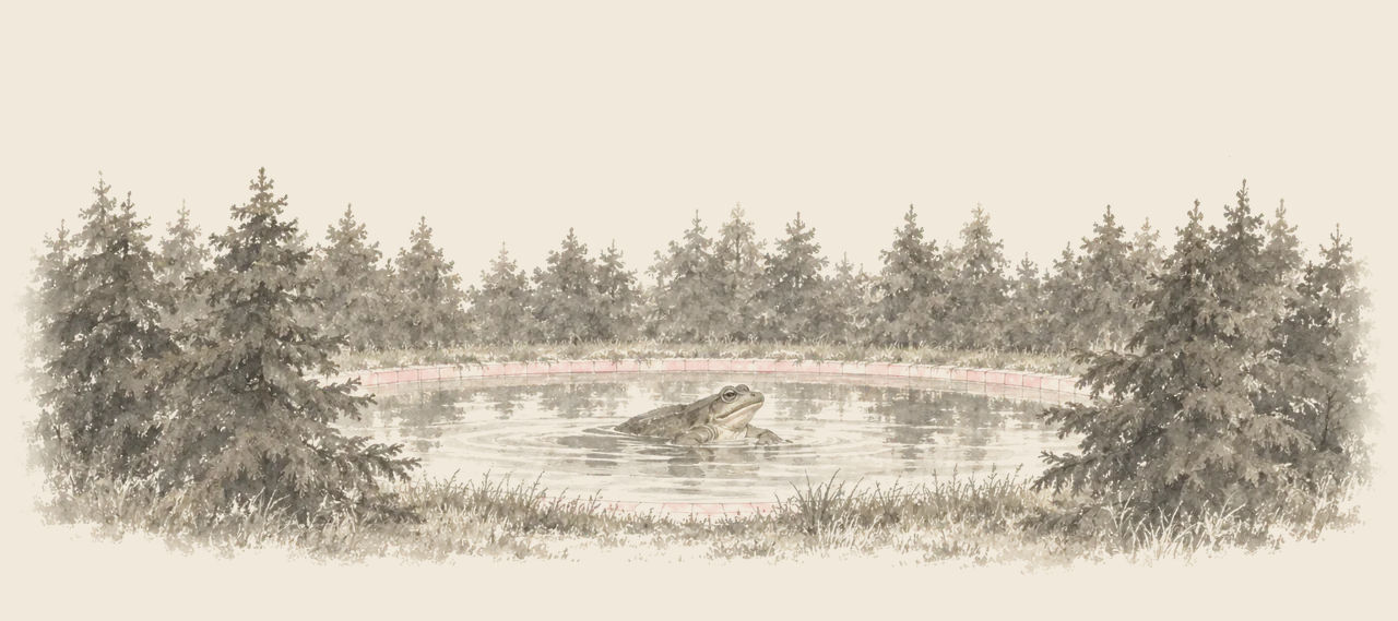 A great frog floats in a still pond lined with pink tiles, ringed by evergreen trees.
