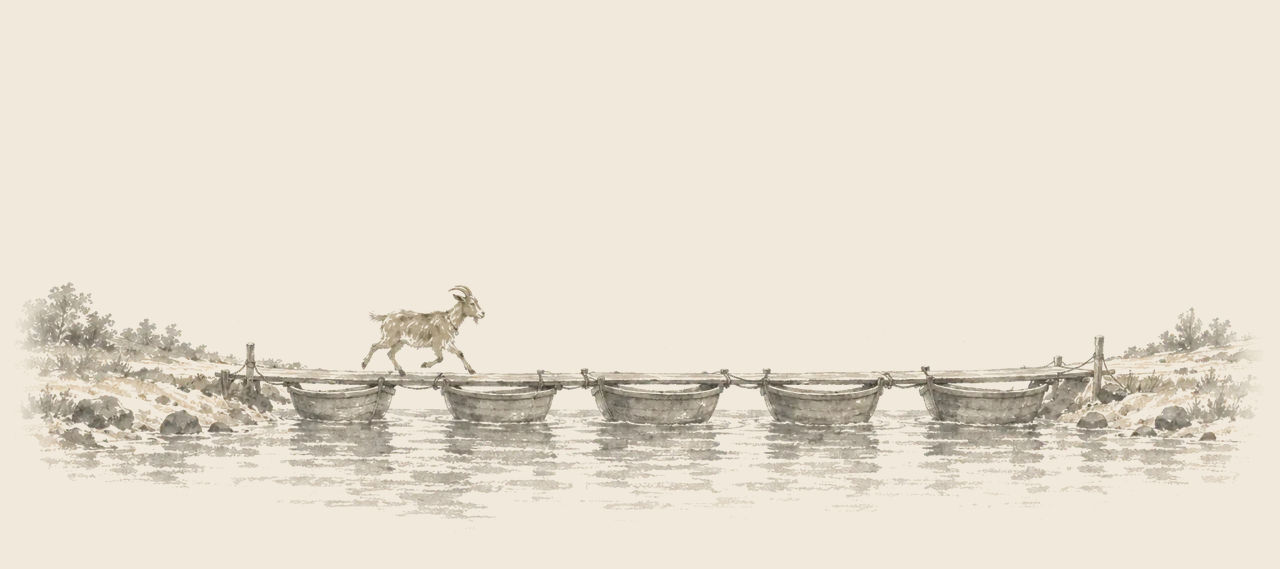Bilbil the goat runs alone across a bridge of boats laid side by side over a narrow channel of the sea.