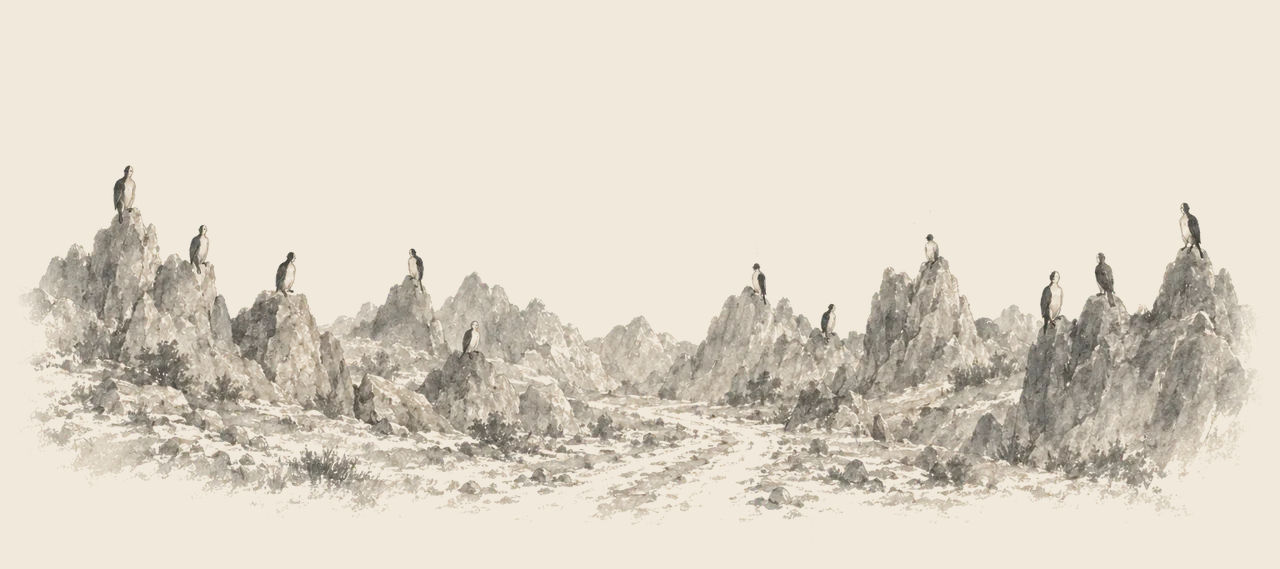 Black-and-white Scoodlers perch like birds on the tips of grey rocks all around a rocky hollow with a rough road running through it.