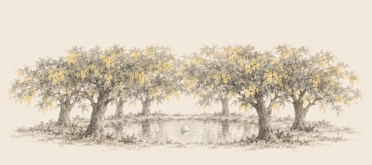 A ring of tall trees hung with yellow blossoms stands around a still pool, with a small sailor hat floating in the middle and a few ripples around it.